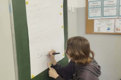 1fb912d4-af06-4ec7-827a-87ad76bbd255