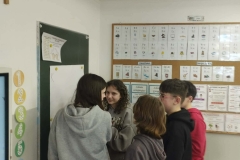 8a432a2a-4aca-4a0d-abb1-94496a2e6ee1