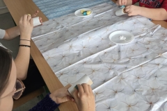 a4ba0260-2bfd-4247-b1a8-5e78a1b49cb6