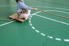 338e2951-078a-45eb-b4b0-68c26c27a8a3