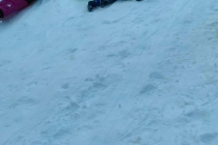 8597f8d2-51f7-462d-ad55-f9408673ff04