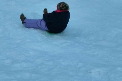 f19808d3-6f80-42b4-9f0d-105095c8ca63