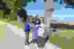 0a0d9c94-6767-42d1-a923-e77c5eed4e9e