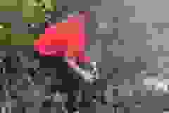 0e1f0a7c-7fc1-48b3-90a7-6d28b0f552aa