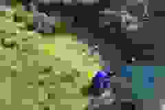 11b5636e-dd84-4425-a268-b05eb66764a5