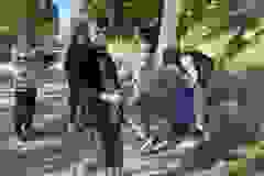 57b76673-c767-471f-8ddd-b79659075107