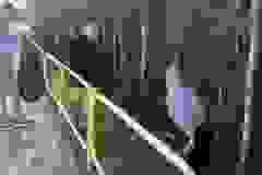 717f8982-3cf3-4322-814a-d5a87c537bd5