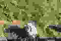 7d0c3e3c-45c6-4d5a-a4c4-4c8ab93f3929