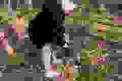 d849d12a-9e7c-4ae6-b4a3-14839d17b03e