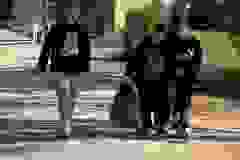 dc2121f5-710d-4dfa-b86e-231ef7b68100