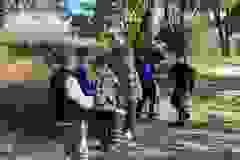 ed81ebf1-4941-4d66-80b5-9faa8bc04cc0